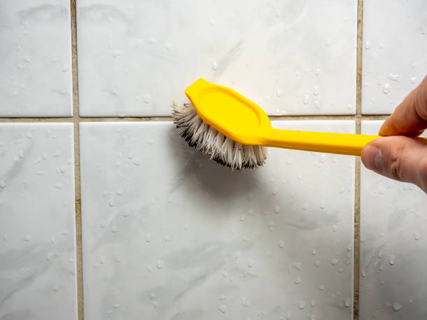 Best Mold Removal Company Near Me  in Park Layne, OH