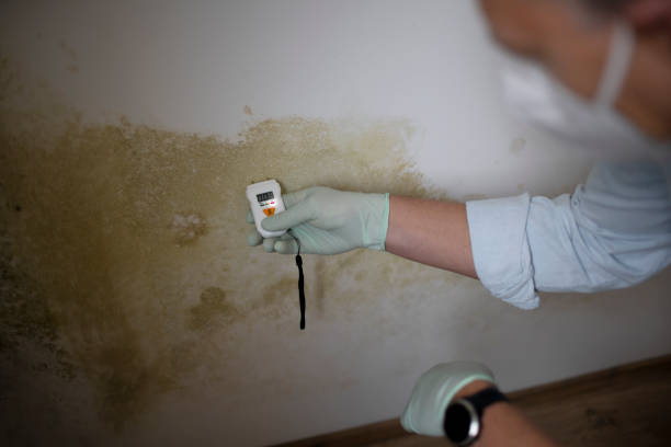 Best Office Mold Removal Services  in Park Layne, OH